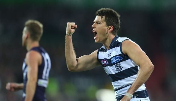 Andrew Mackie Cats