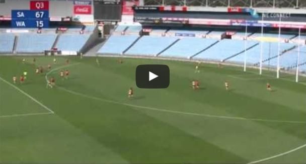 Harry McKay highlights