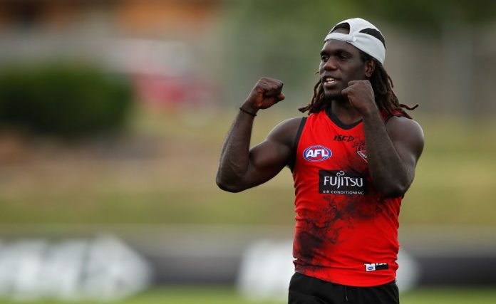 Essendon Bombers Training Session