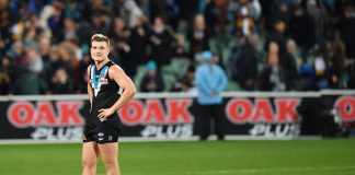 Live Blog Zero Hanger