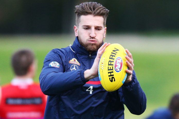 Western Bulldogs Training Session